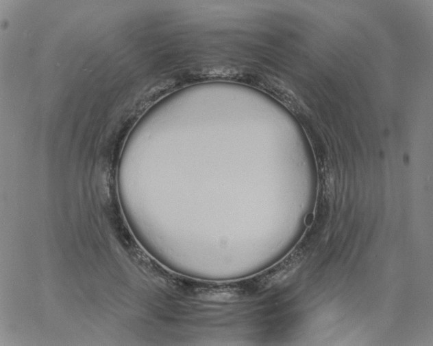 X0000060770643200512082034