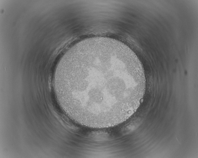 X0000060770644200512082034