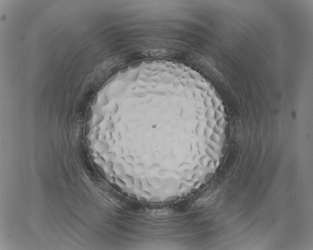 X0000060770645200512082034