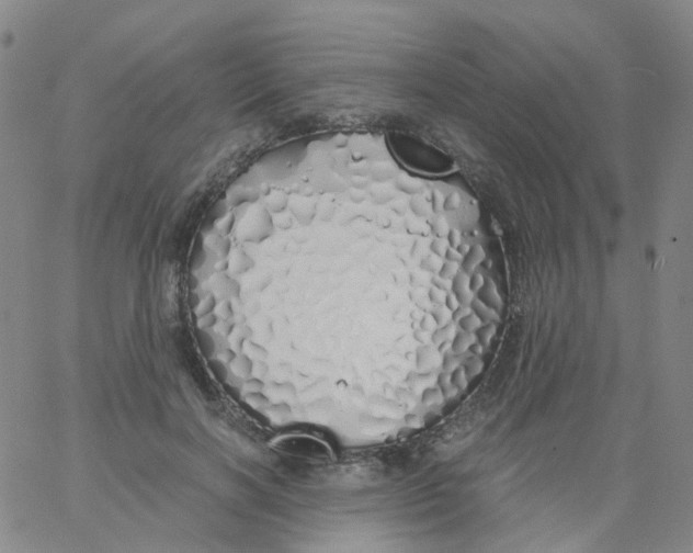 X0000060770646200512082034