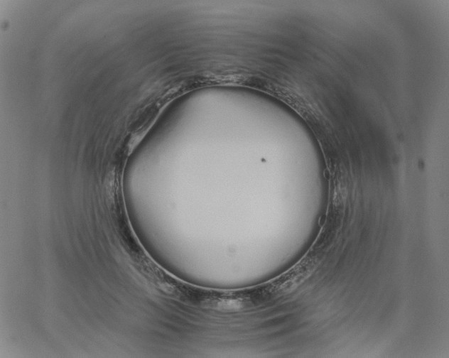 X0000060770647200512082034