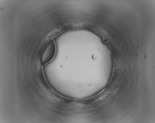 X0000060770648200512082034