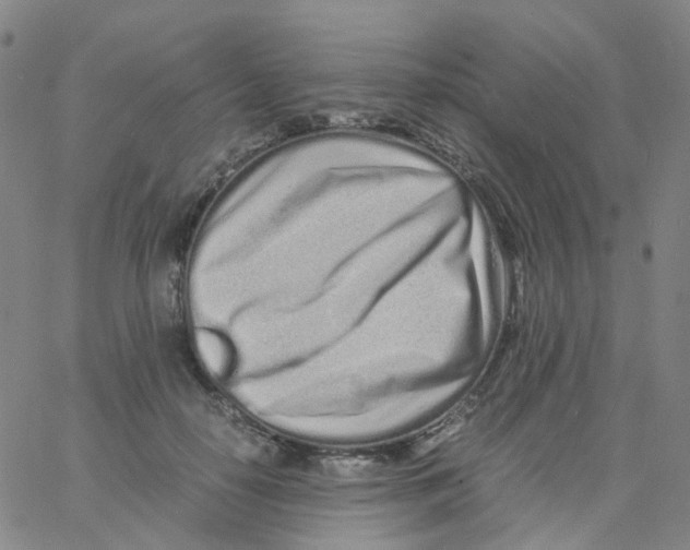 X0000060770650200512082034