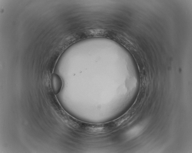 X0000060770651200512082035