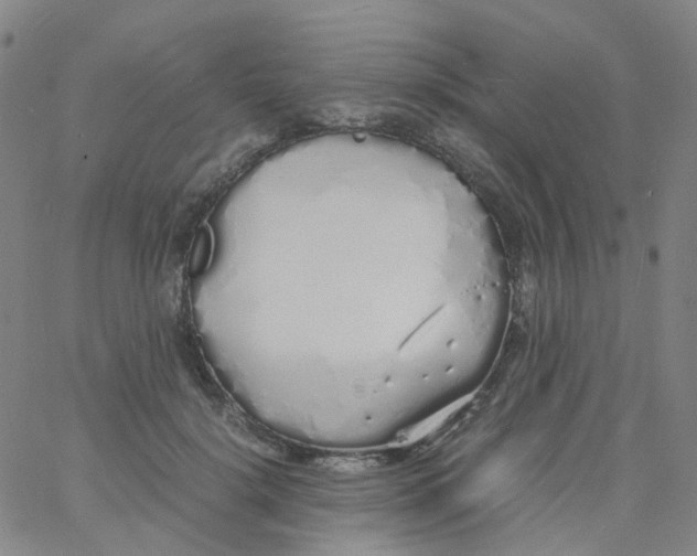 X0000060770652200512082035