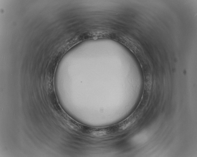 X0000060770653200512082035