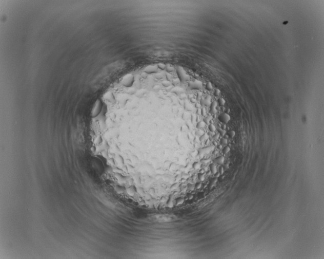 X0000060770654200512082035