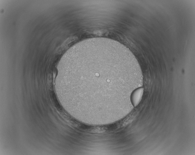 X0000060770656200512082035