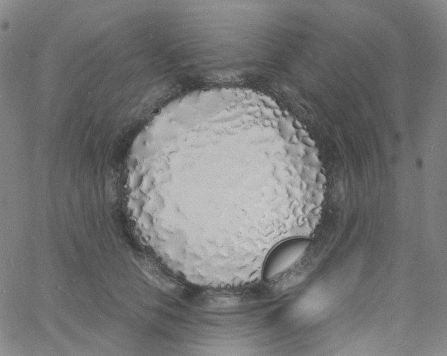 X0000060770658200512082035