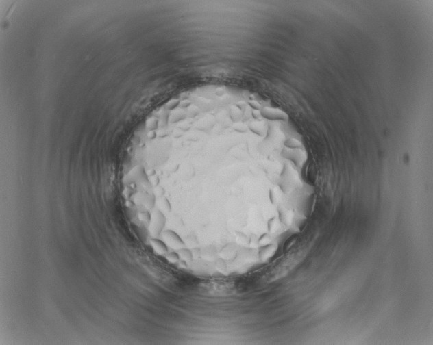 X0000060770660200512082035