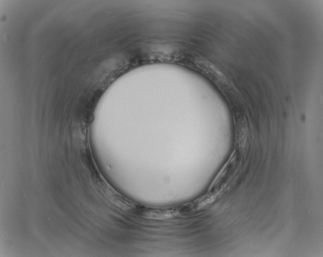 X0000060770661200512082035