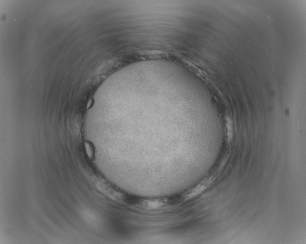 X0000060770662200512082035