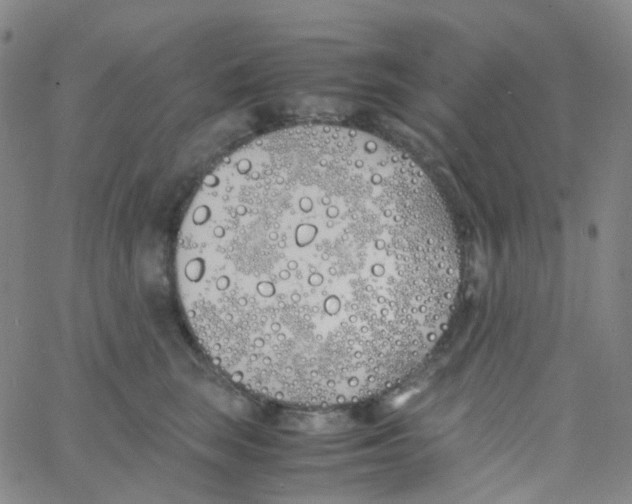 X0000060770663200512082035