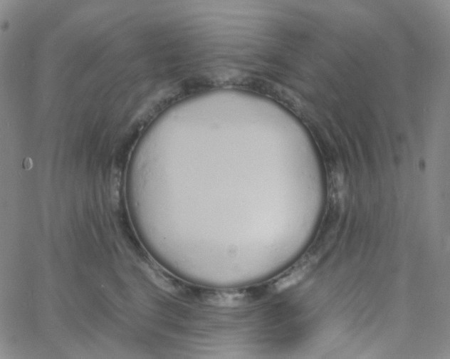 X0000060770664200512082035