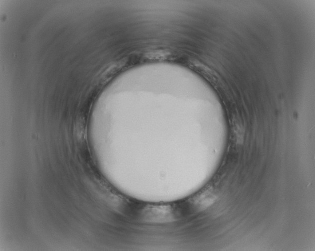 X0000060770665200512082035