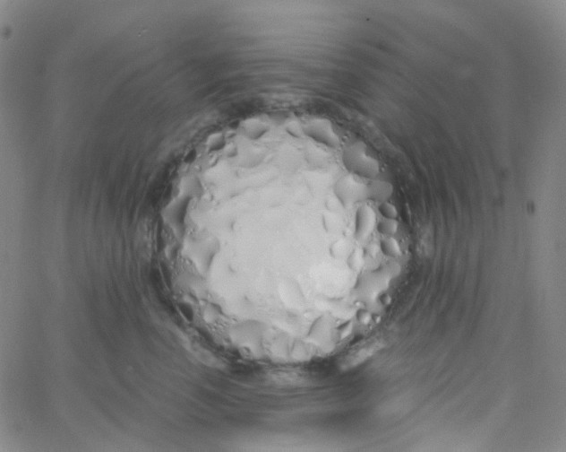 X0000060770666200512082035