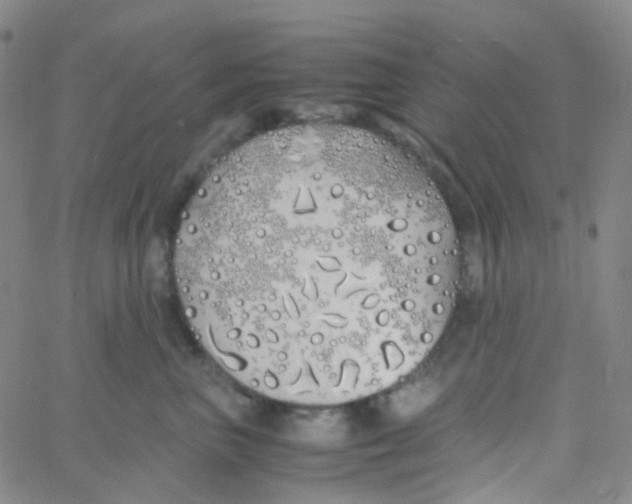 X0000060770667200512082035