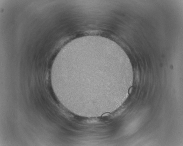 X0000060770668200512082035