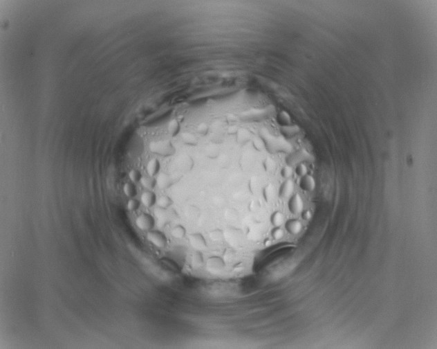 X0000060770670200512082035