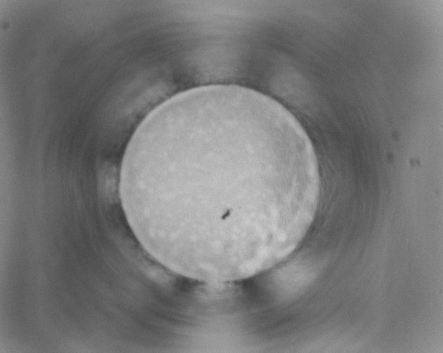 X0000060770672200512082035