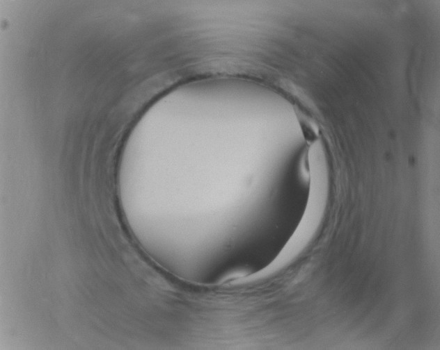 X0000060770673200512082034