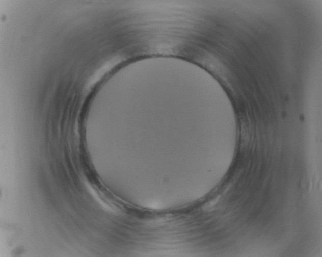 X0000060770674200512082034