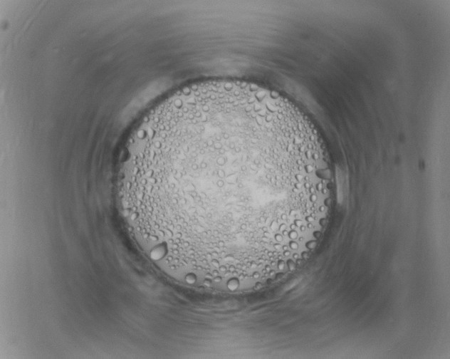 X0000060770675200512082034