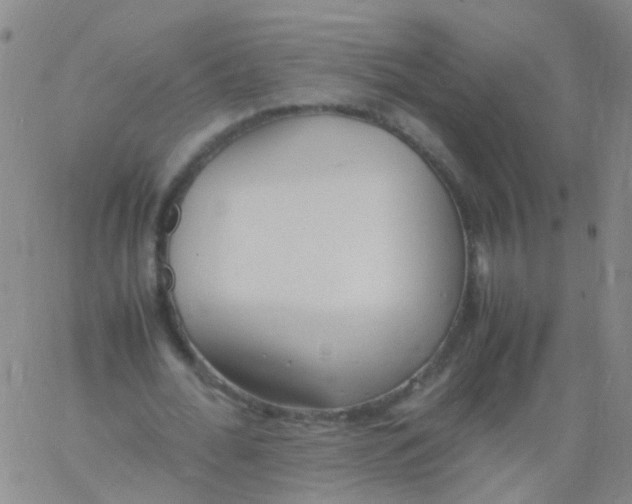 X0000060770676200512082034