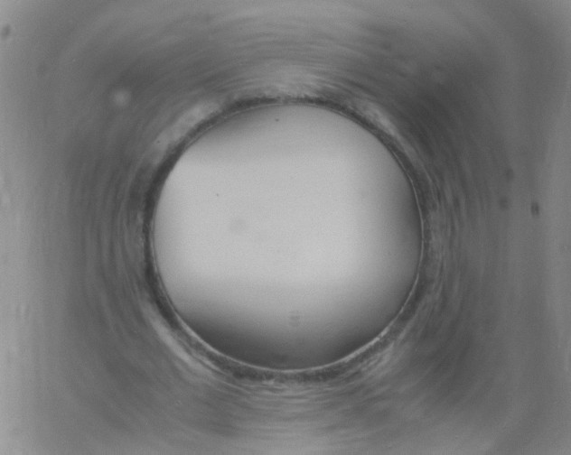 X0000060770677200512082034