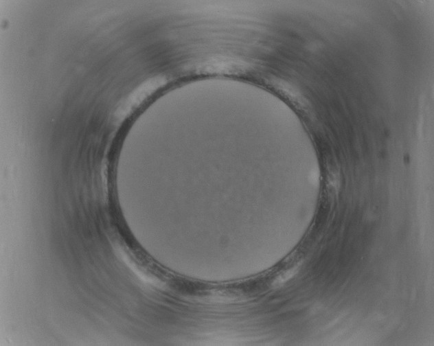 X0000060770678200512082034