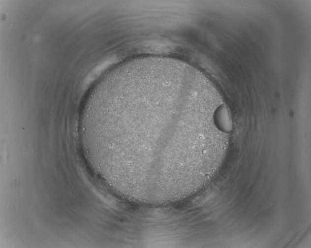 X0000060770679200512082034