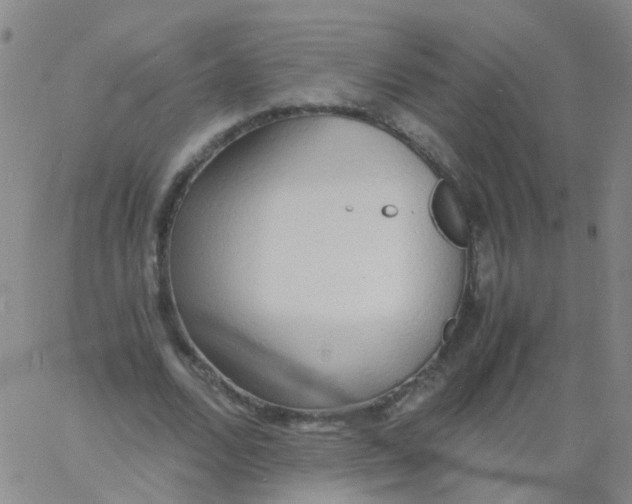 X0000060770680200512082034