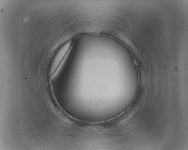 X0000060770681200512082034