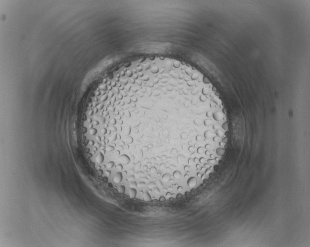 X0000060770682200512082034