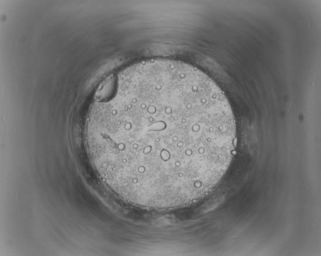 X0000060770683200512082034