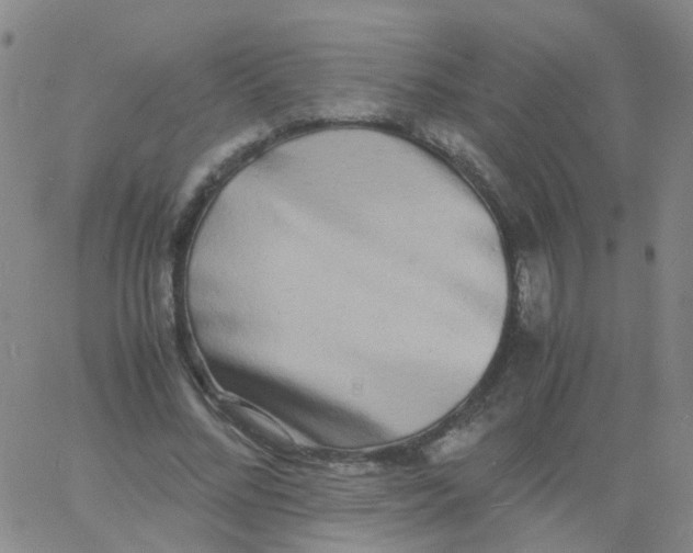 X0000060770684200512082034