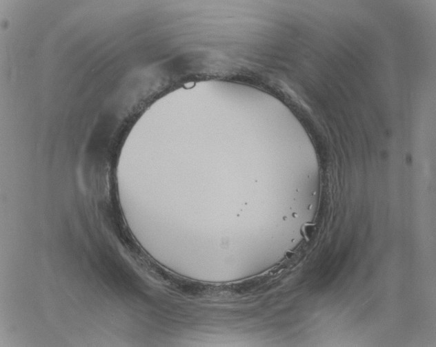 X0000060770685200512082034