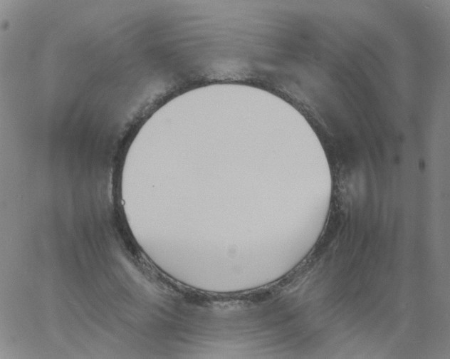 X0000060770686200512082034