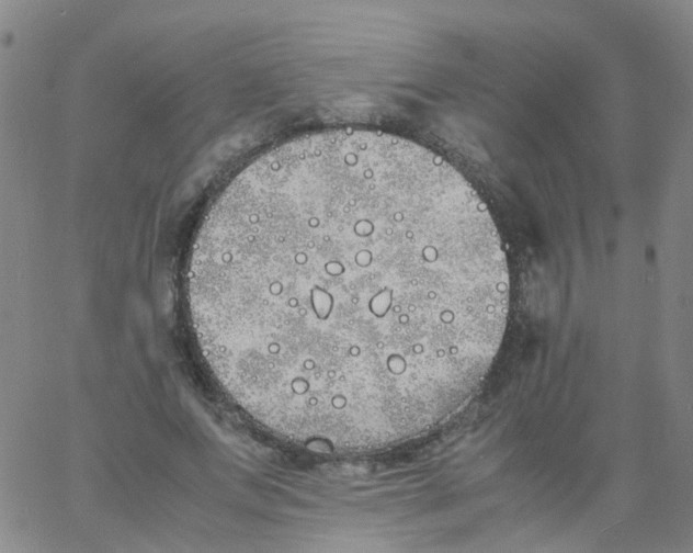 X0000060770687200512082034