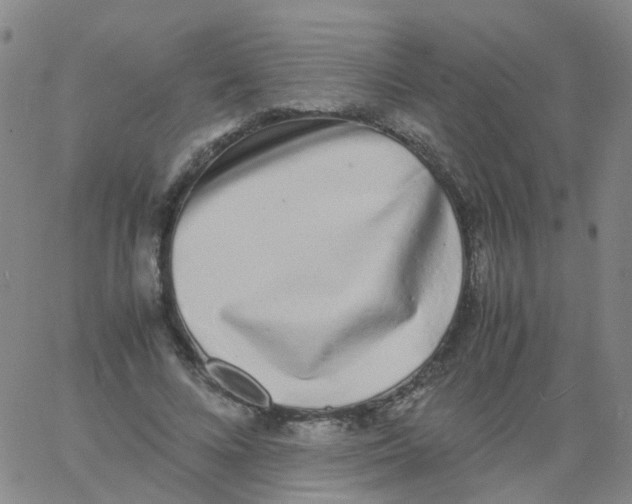 X0000060770688200512082034