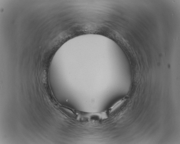 X0000060770689200512082034