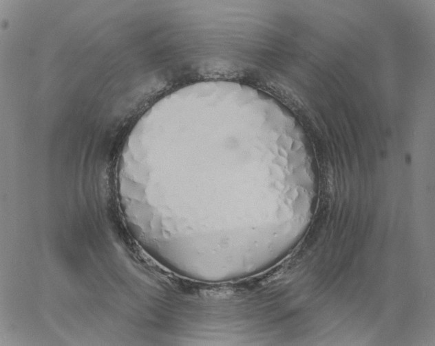 X0000060770690200512082034