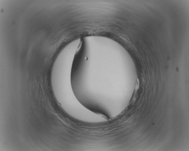 X0000060770691200512082034