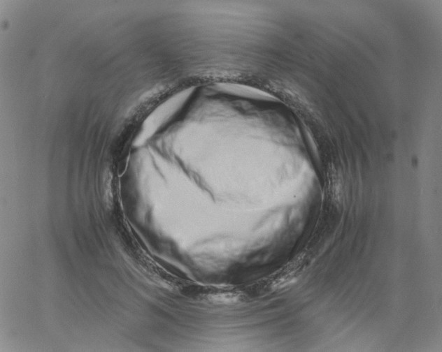 X0000060770692200512082034