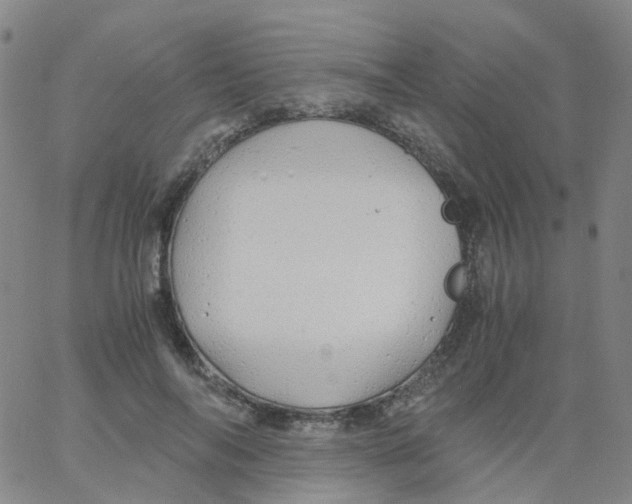 X0000060770694200512082034