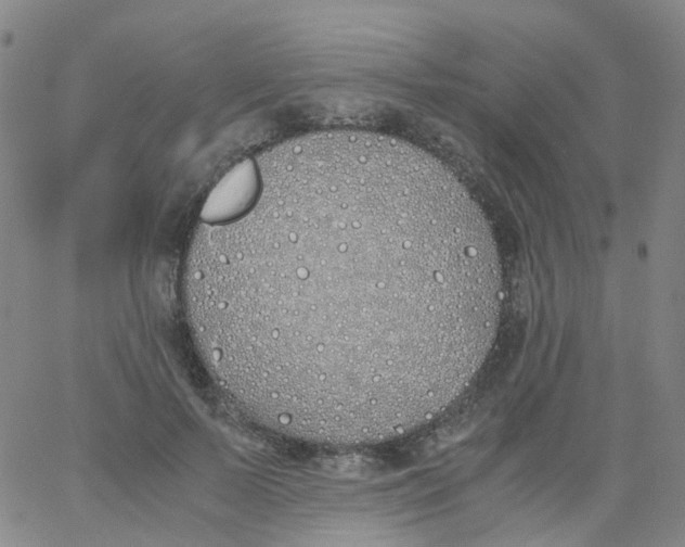 X0000060770695200512082034