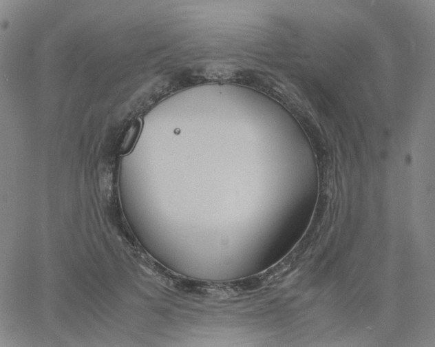 X0000060770697200512082034