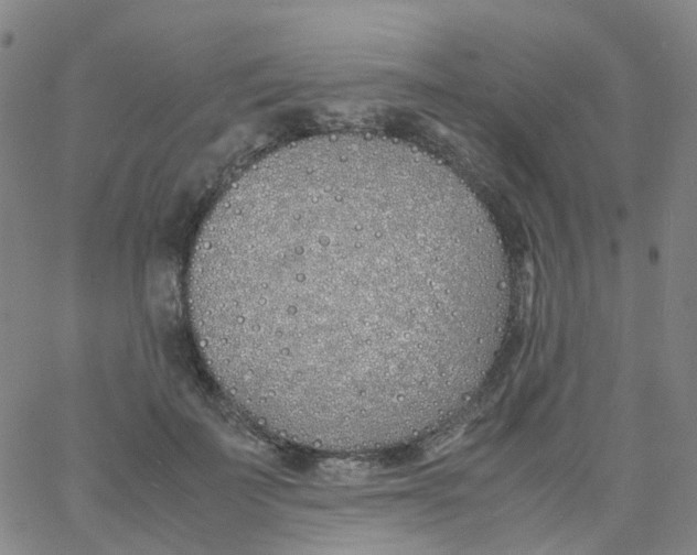 X0000060770699200512082034