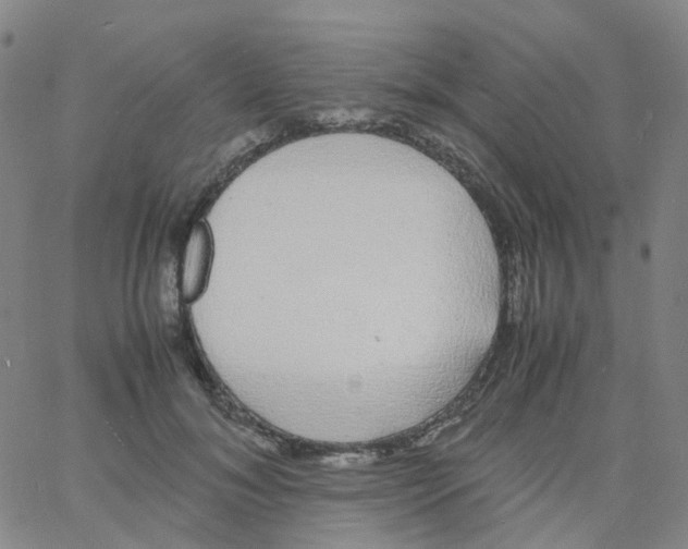 X0000060770700200512082034