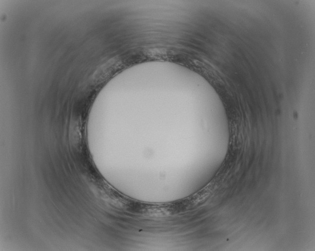 X0000060770702200512082034